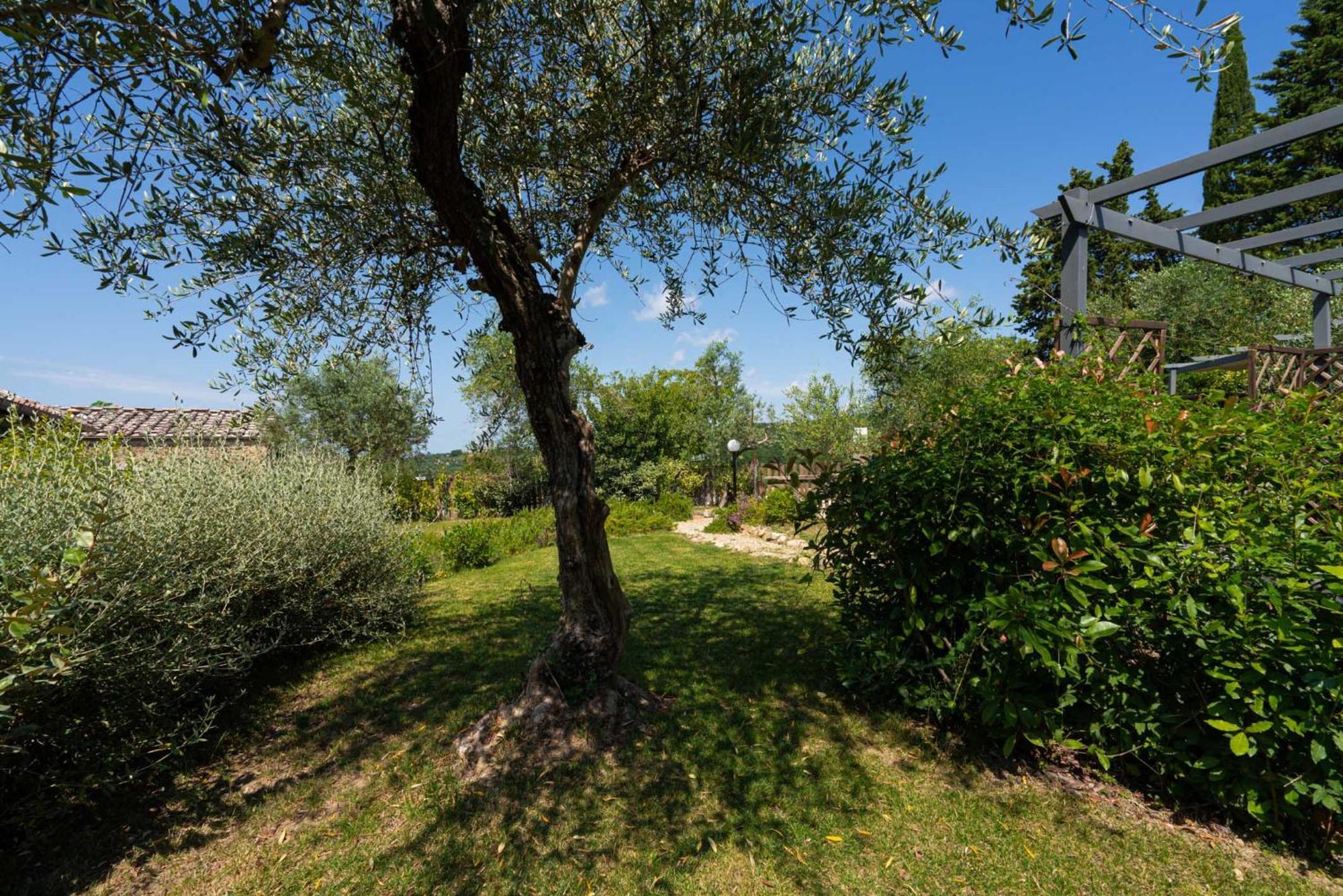 Casa Alta Apartman Greve in Chianti Kültér fotó